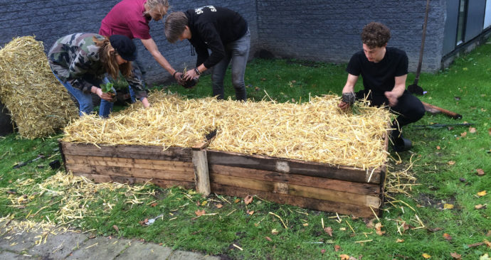 Guerrillatuinieren 1