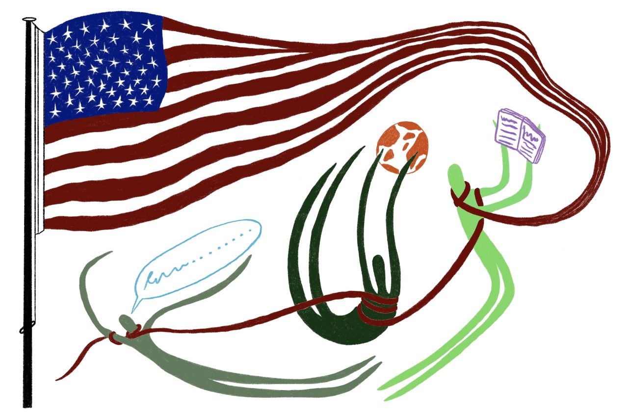 stock_usa-amerika_trump_science_wetenschap_vlag_sonja-schravesande