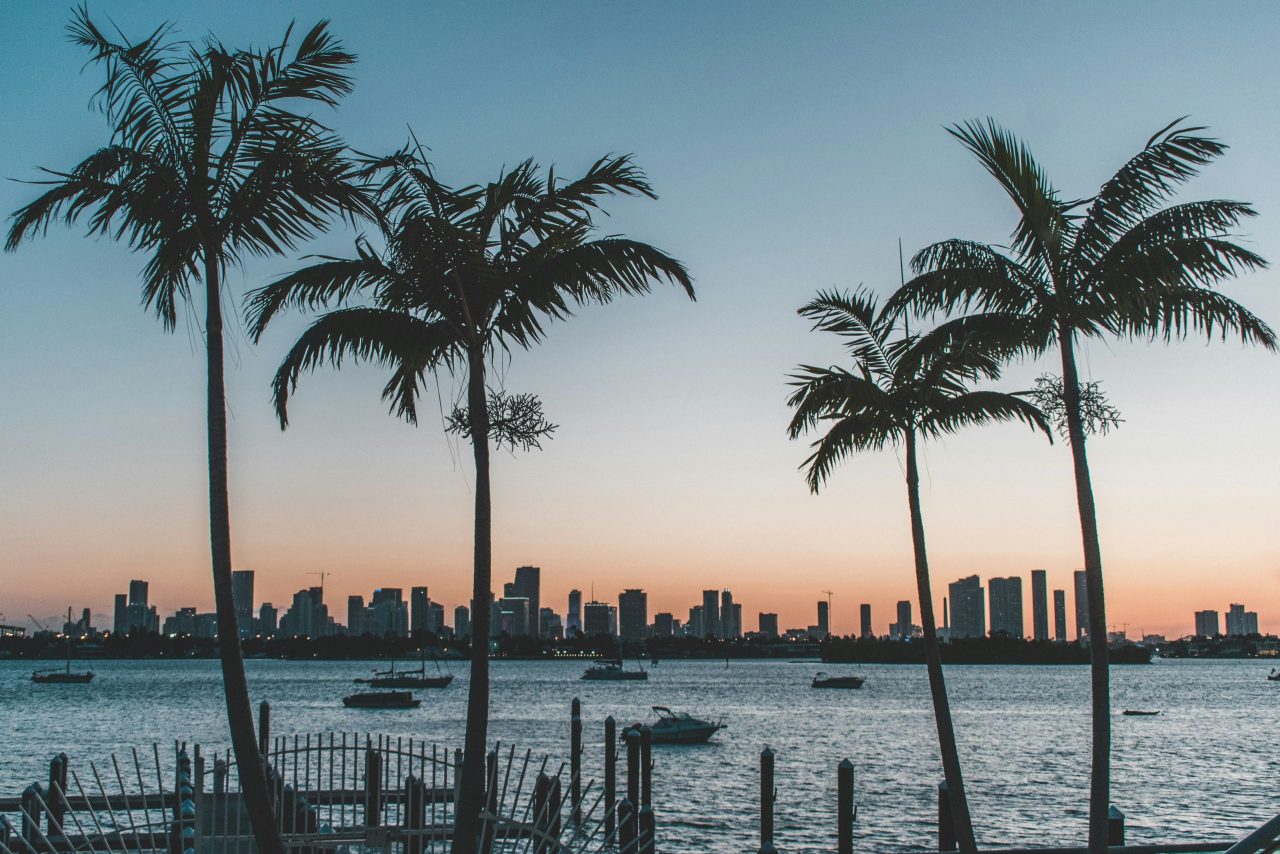 miami skyline florida palmbomen denys-kostyuchenko-unsplash