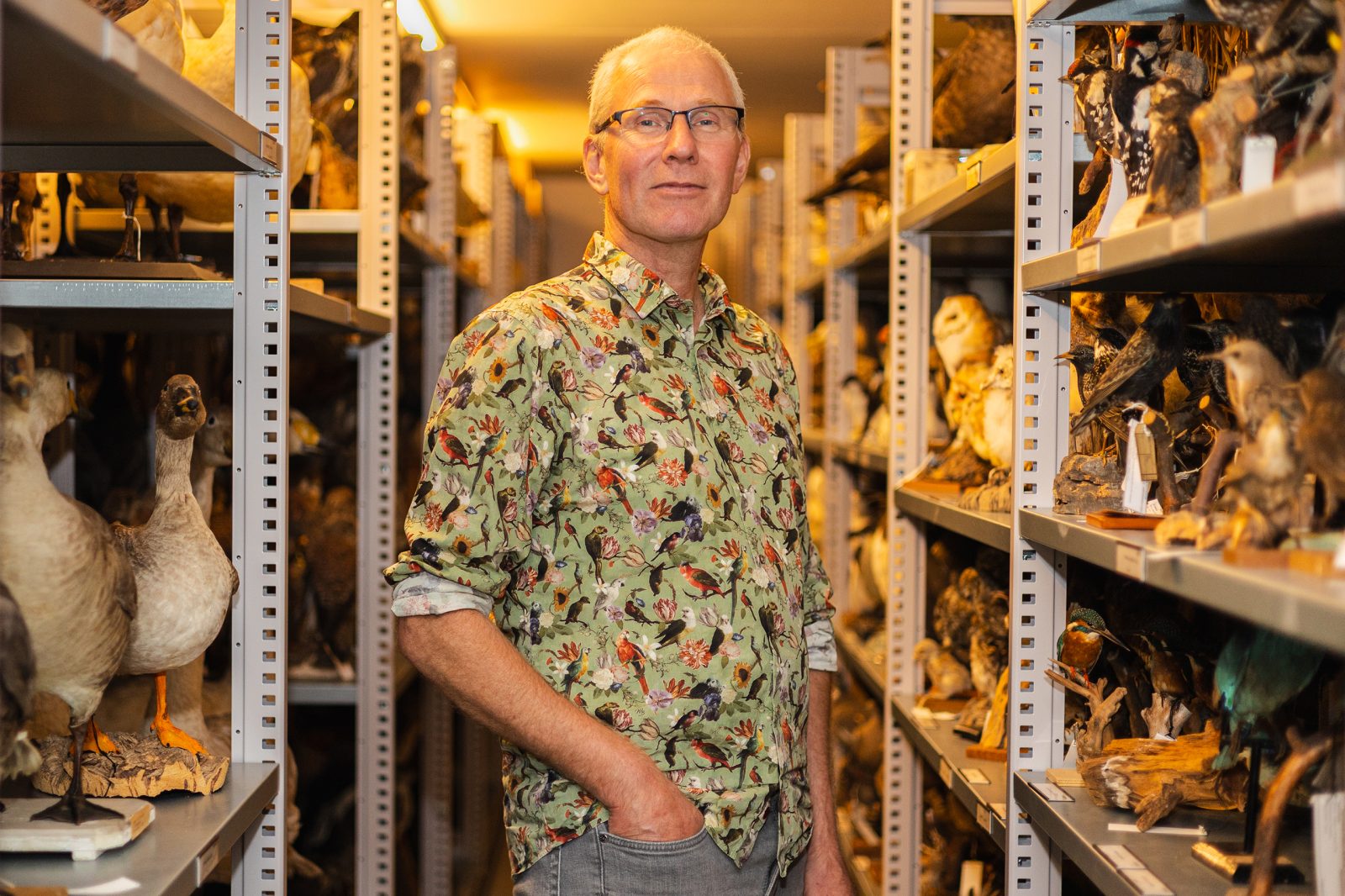 Tussen de slechtvalken, buizerds en noordse stormvogels vond Jos van der Geest een ankerpunt