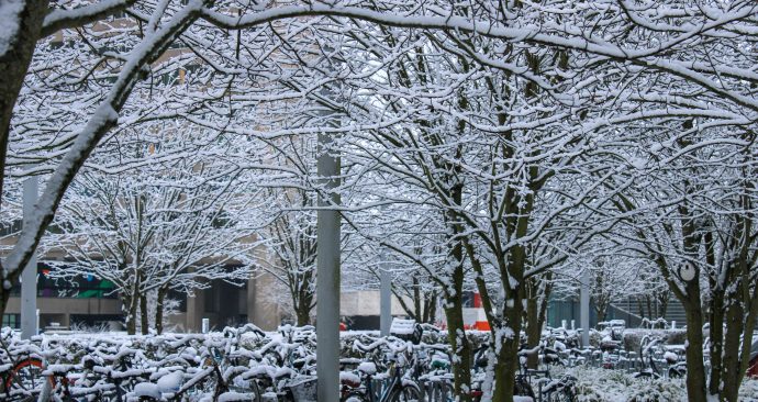 winter_sneeuw_snow_campus_eur_fietsen_5.1.2026_tessa hofland