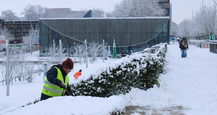winter_sneeuw_snow_campus_eur_plaza_scheppen_5.1.2026_tessa hofland