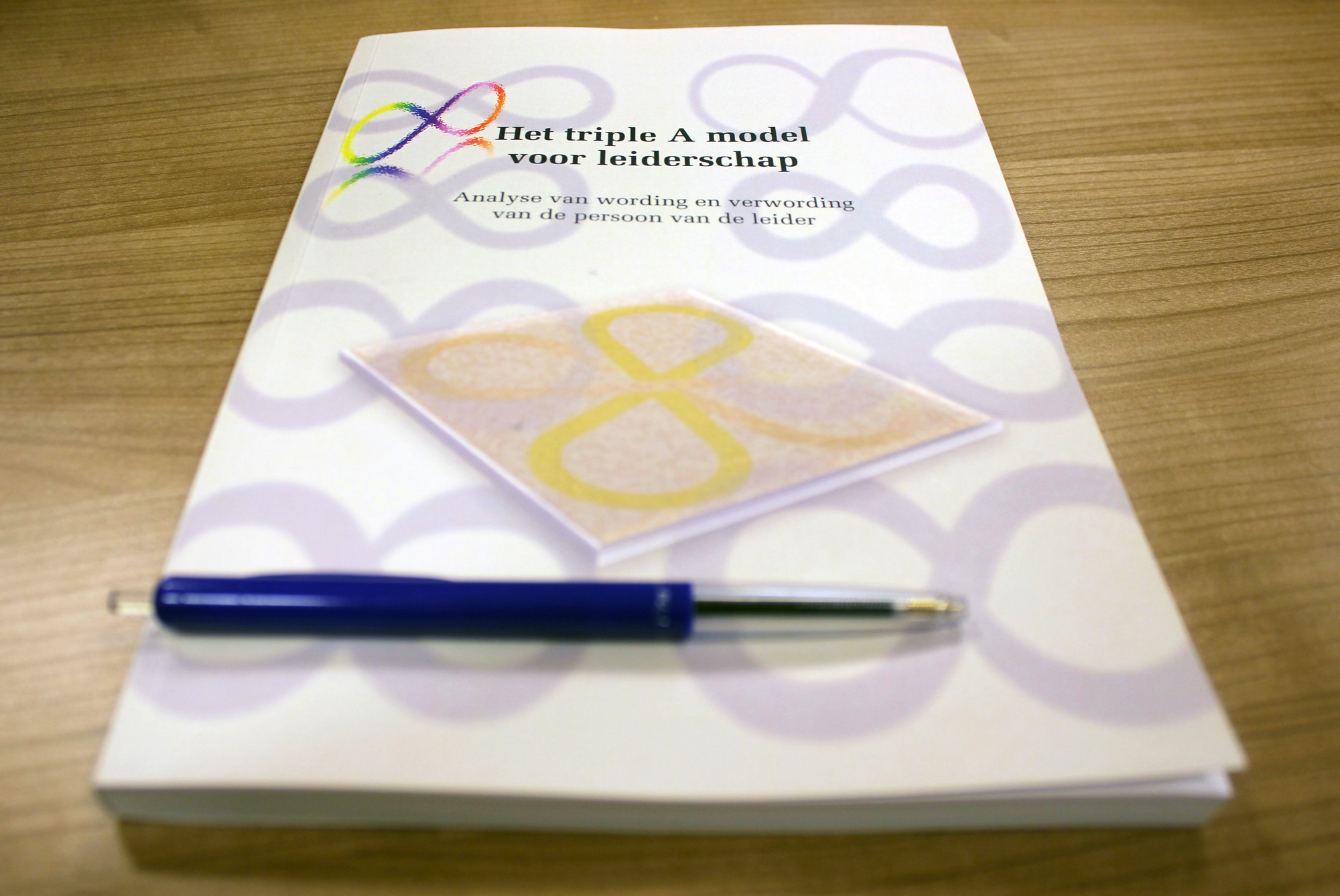plagiaat-proefschrift-triple-a-model-voor-leiderschap