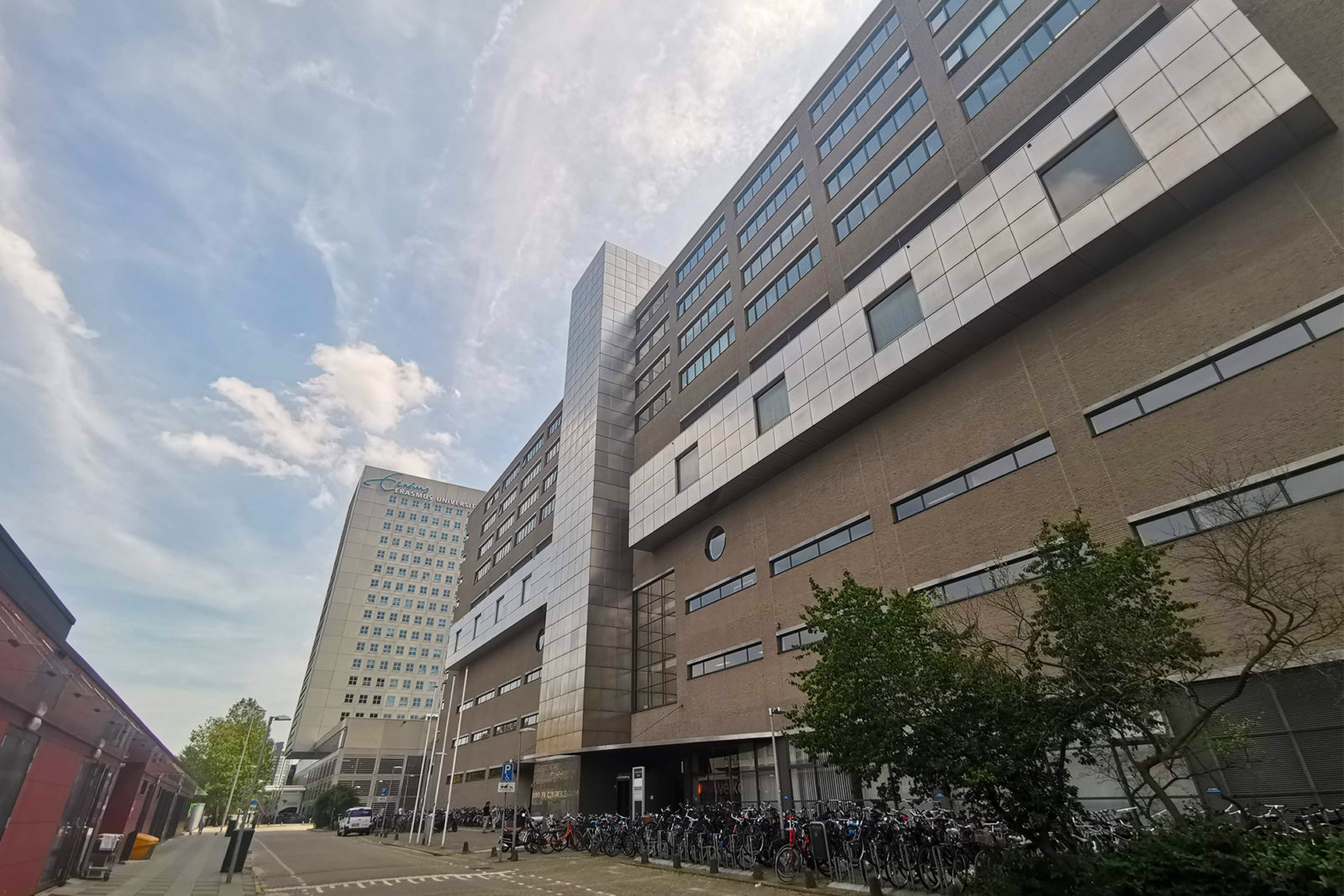 ‘There is no culture of fear at ESHCC’ - Erasmus Magazine