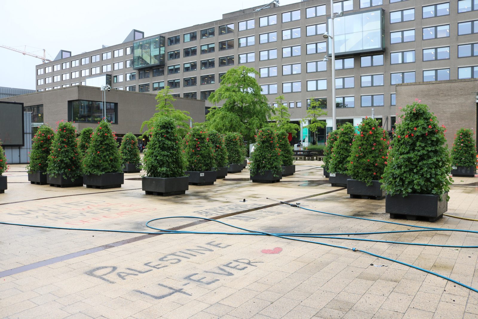 flower-boxes-replace-tent-camp-erasmus-magazine
