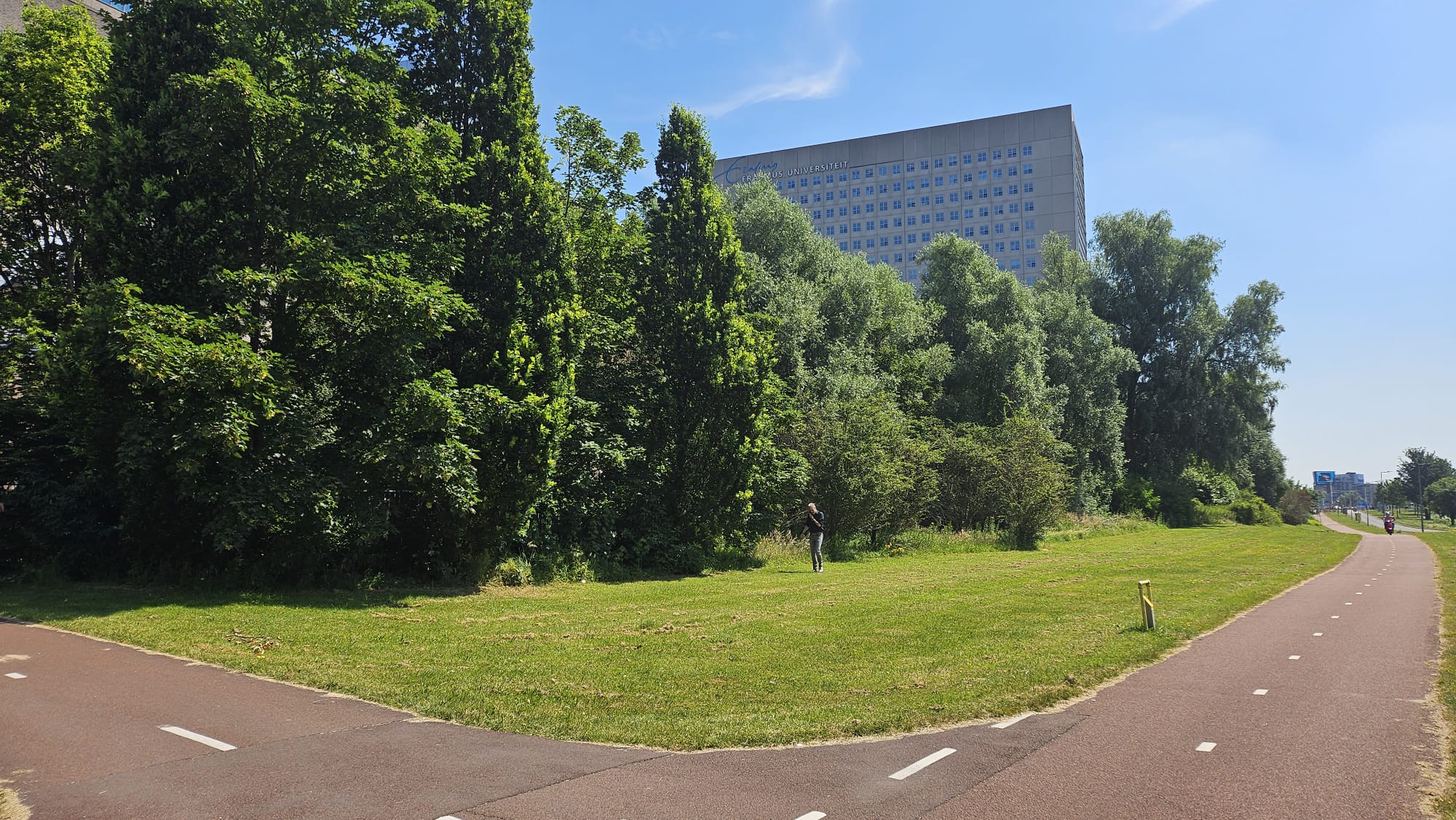 New student houses next to Van der Goot building - Erasmus Magazine