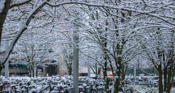 winter_sneeuw_snow_campus_eur_fietsen_5.1.2026_tessa hofland